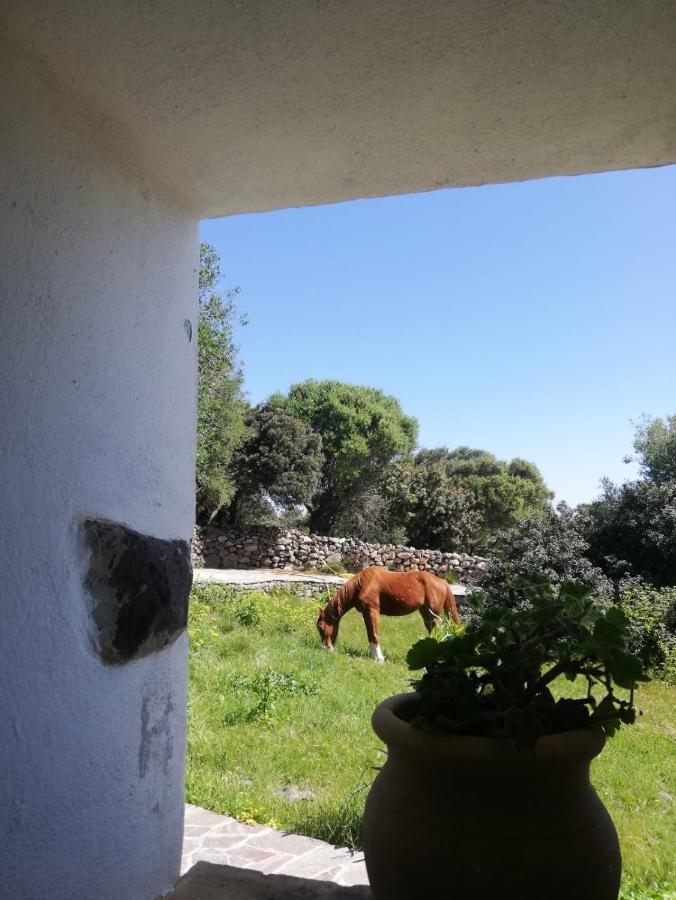 Sa Ruscitta Bed & Breakfast SantʼAntìoco Dış mekan fotoğraf