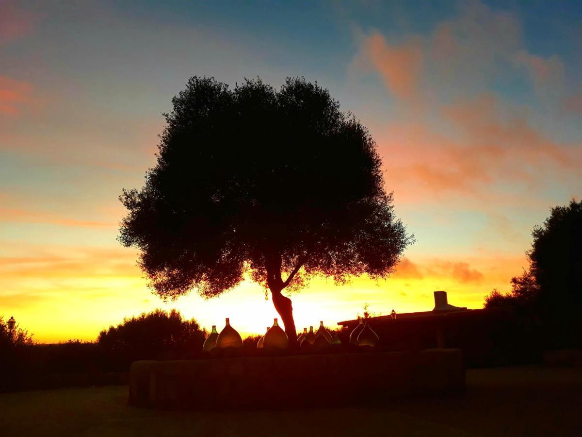 Sa Ruscitta Bed & Breakfast SantʼAntìoco Dış mekan fotoğraf