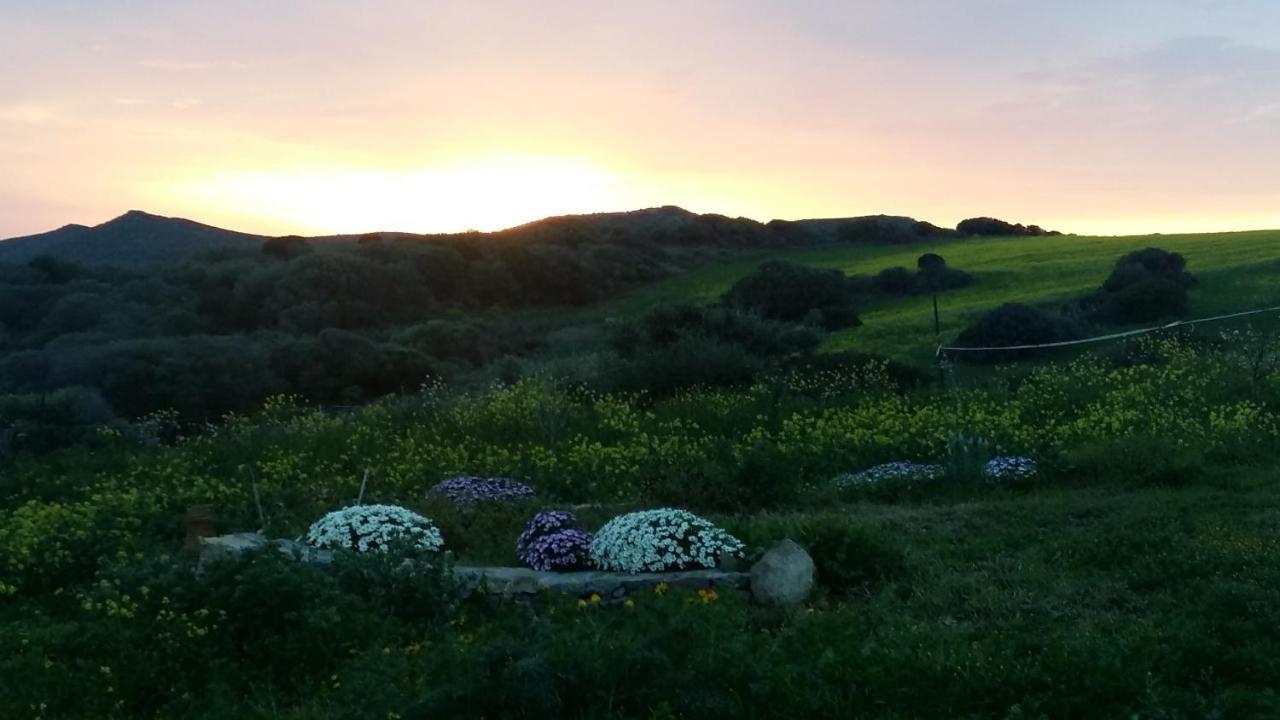 Sa Ruscitta Bed & Breakfast SantʼAntìoco Dış mekan fotoğraf